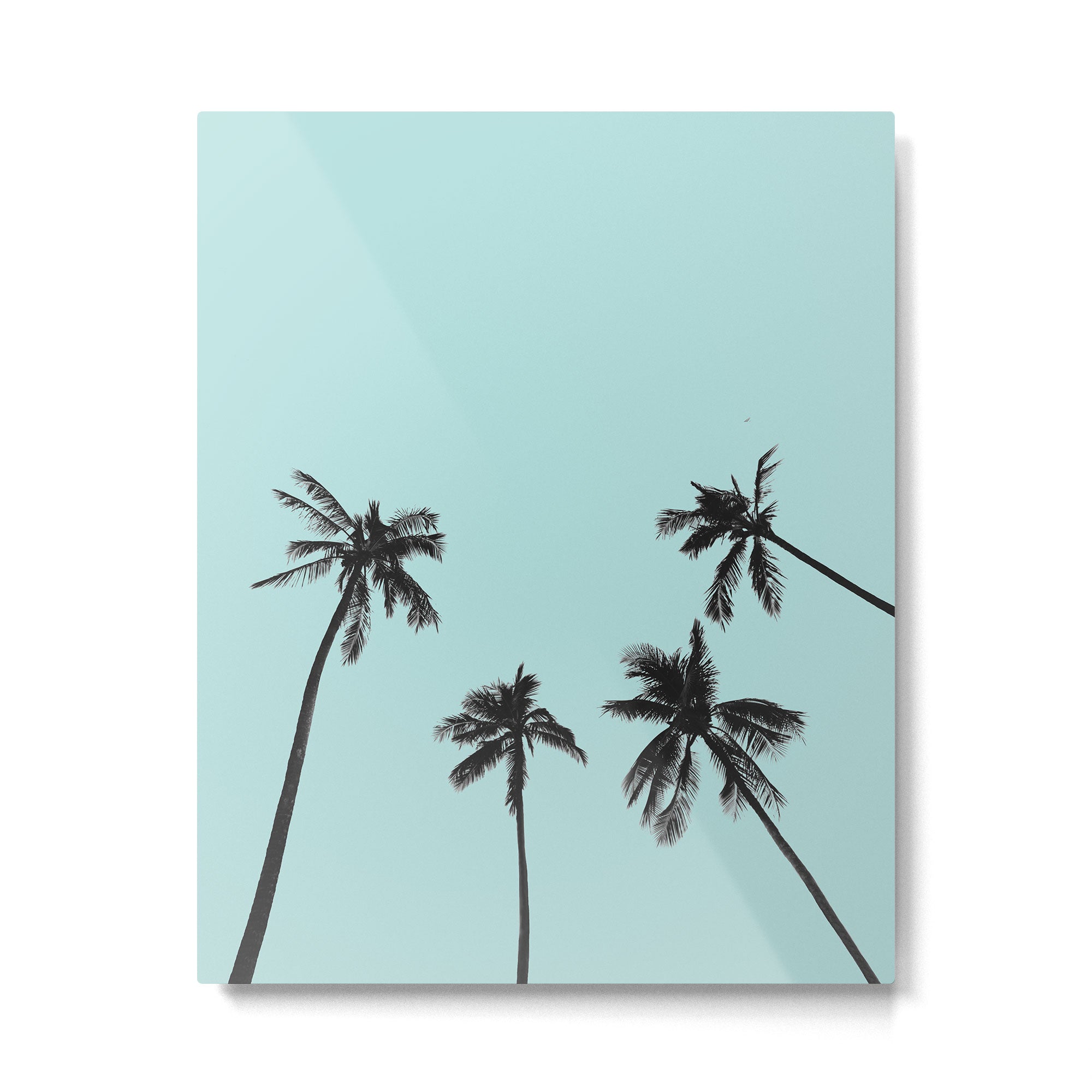 Palm trees 5 Metal Print Gallery Image 4