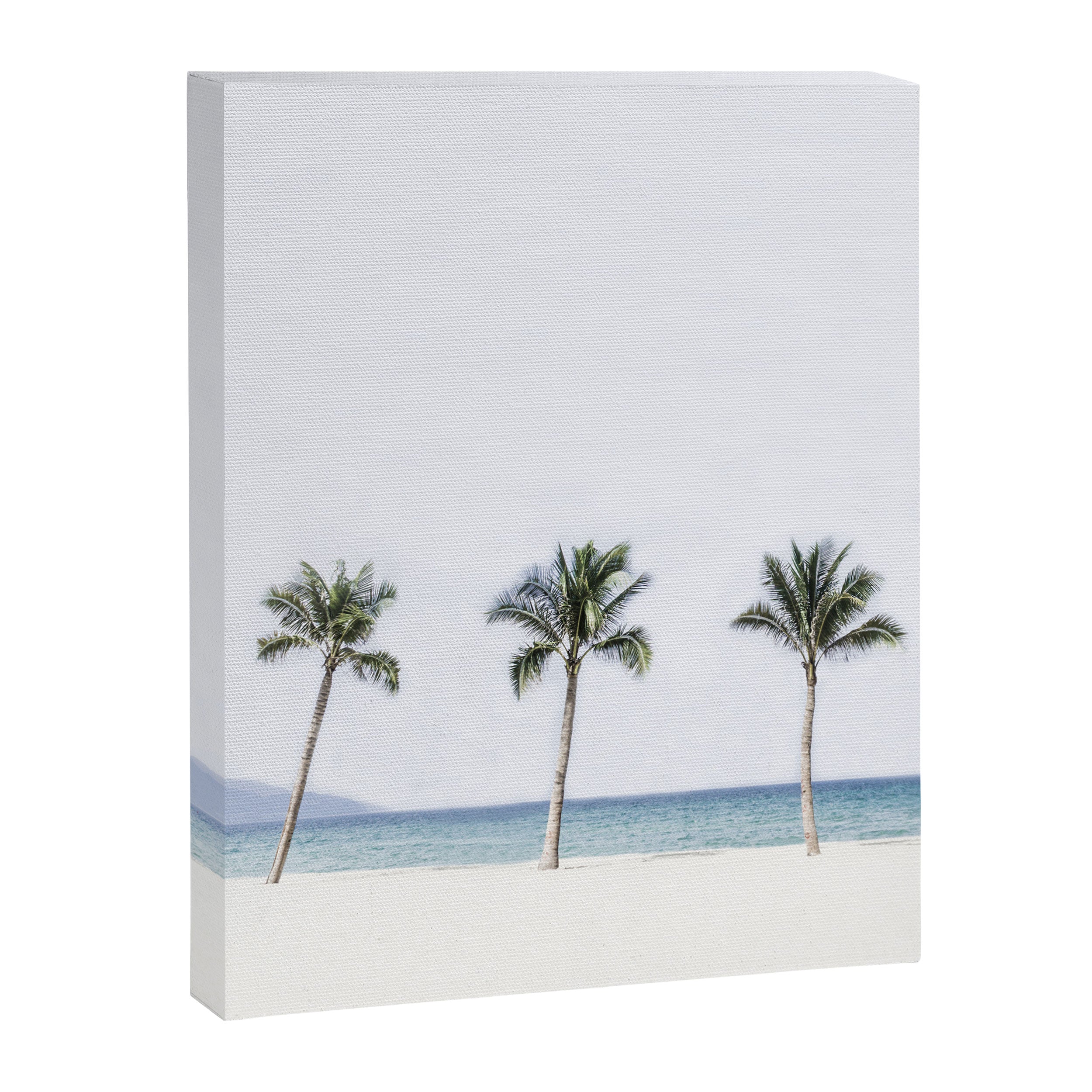 Palm trees 6 Canvas Print Gallery Image 6