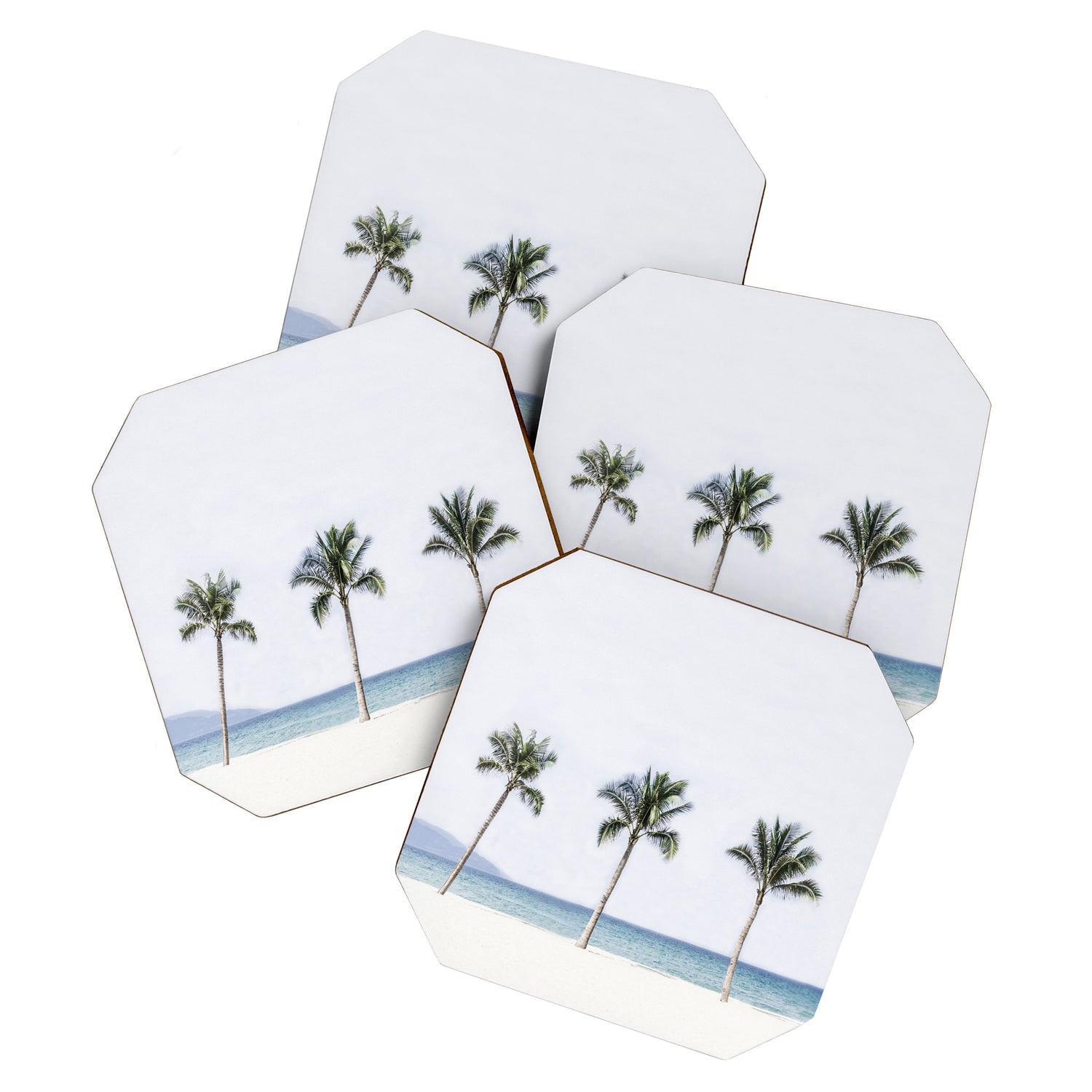 Palm trees 6 Coaster Gallery Image 1