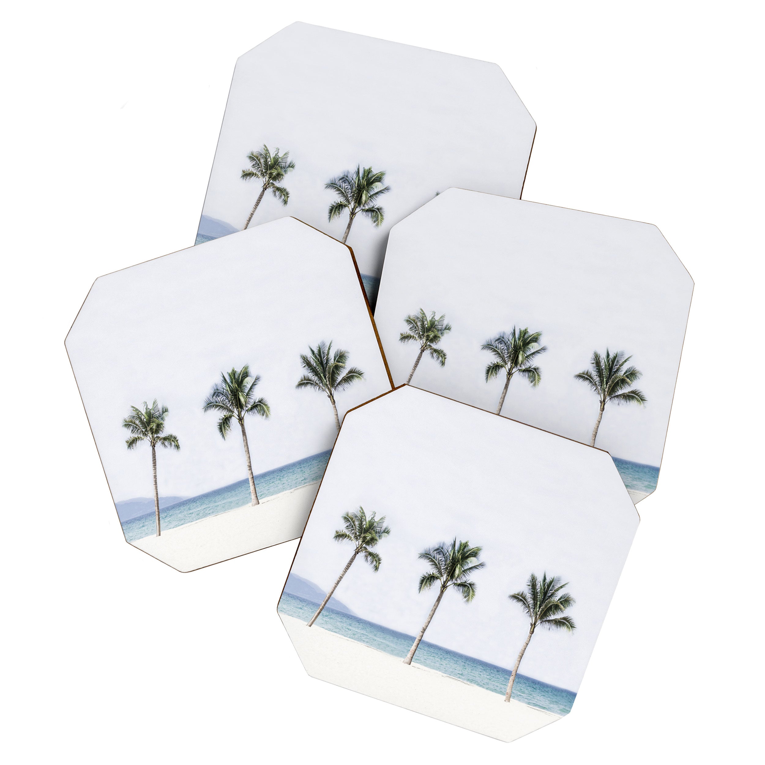 Palm trees 6 Coaster Gallery Image 1
