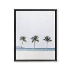 Palm trees 6 Framed Canvas Print Gallery Image 6