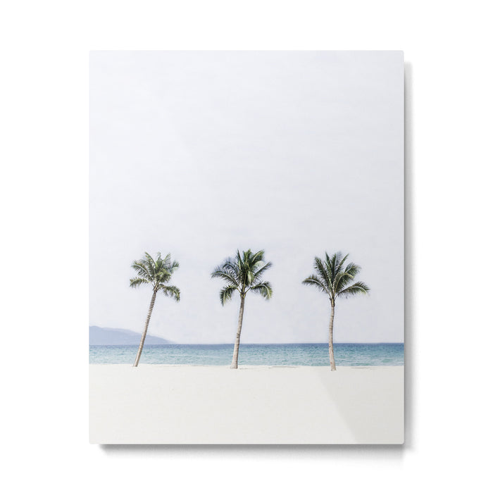 Palm trees 6 Metal Print Gallery Image 1