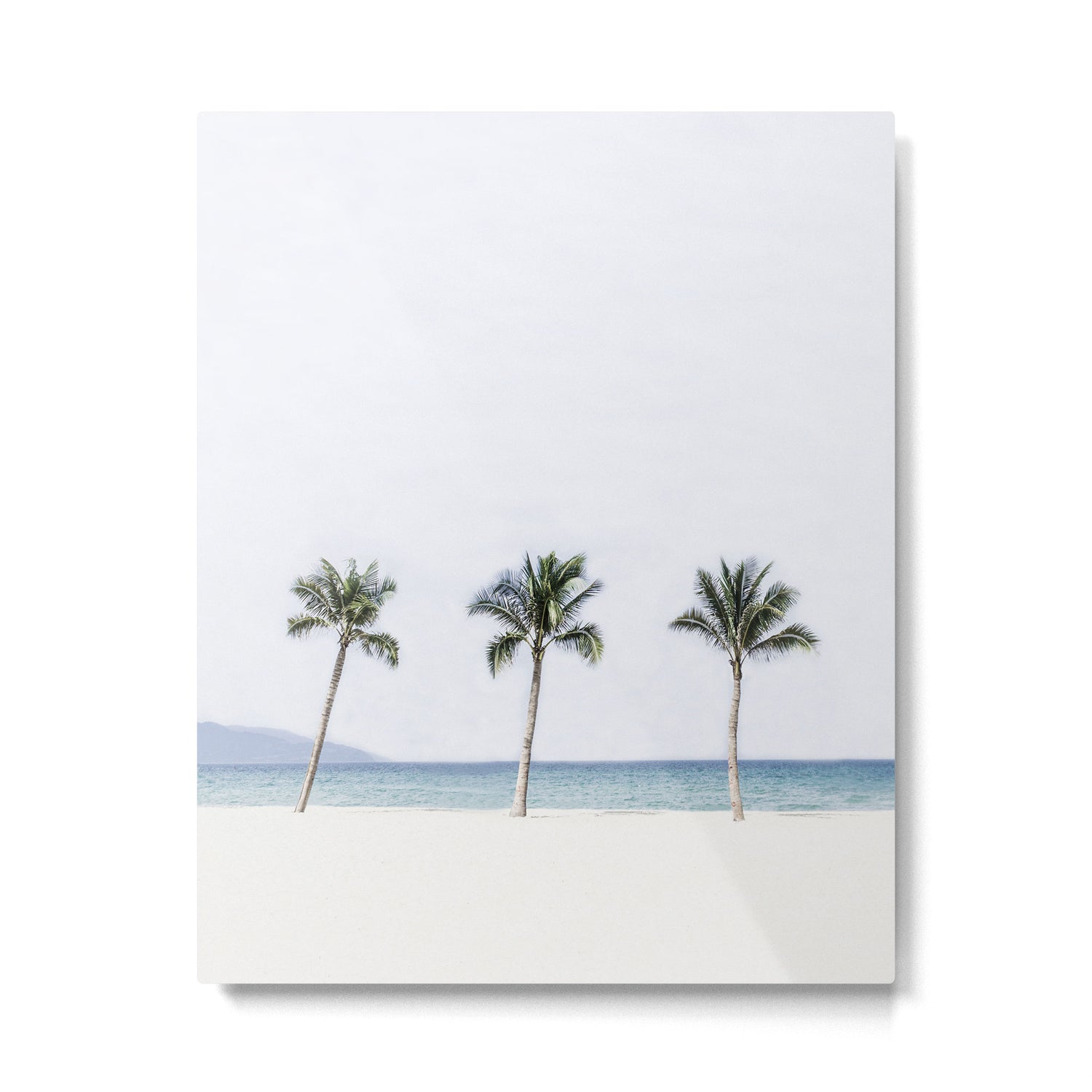Palm trees 6 Metal Print Gallery Image 4