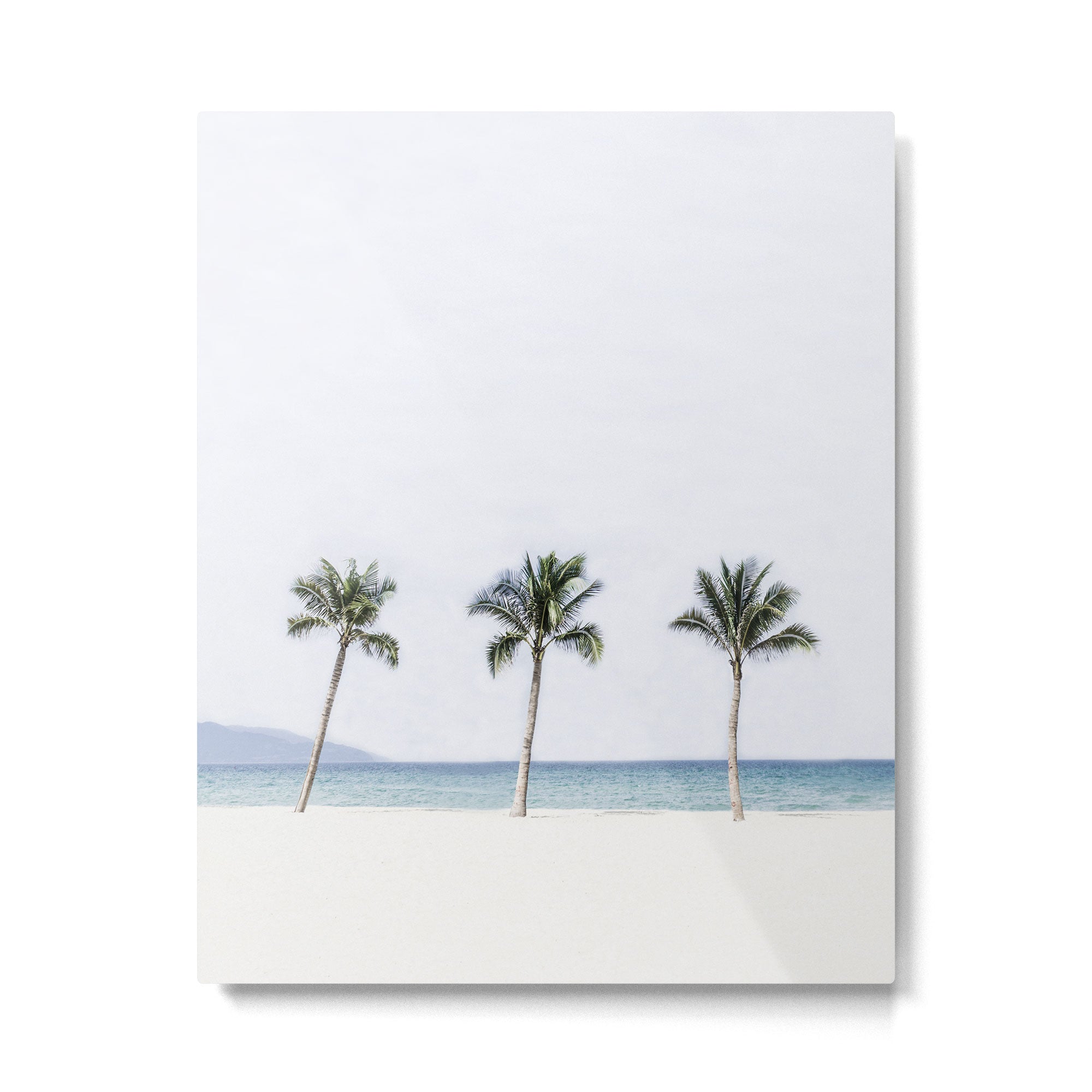 Palm trees 6 Metal Print Gallery Image 4