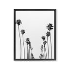 Palm Trees 8 Framed Canvas Print Gallery Image 6