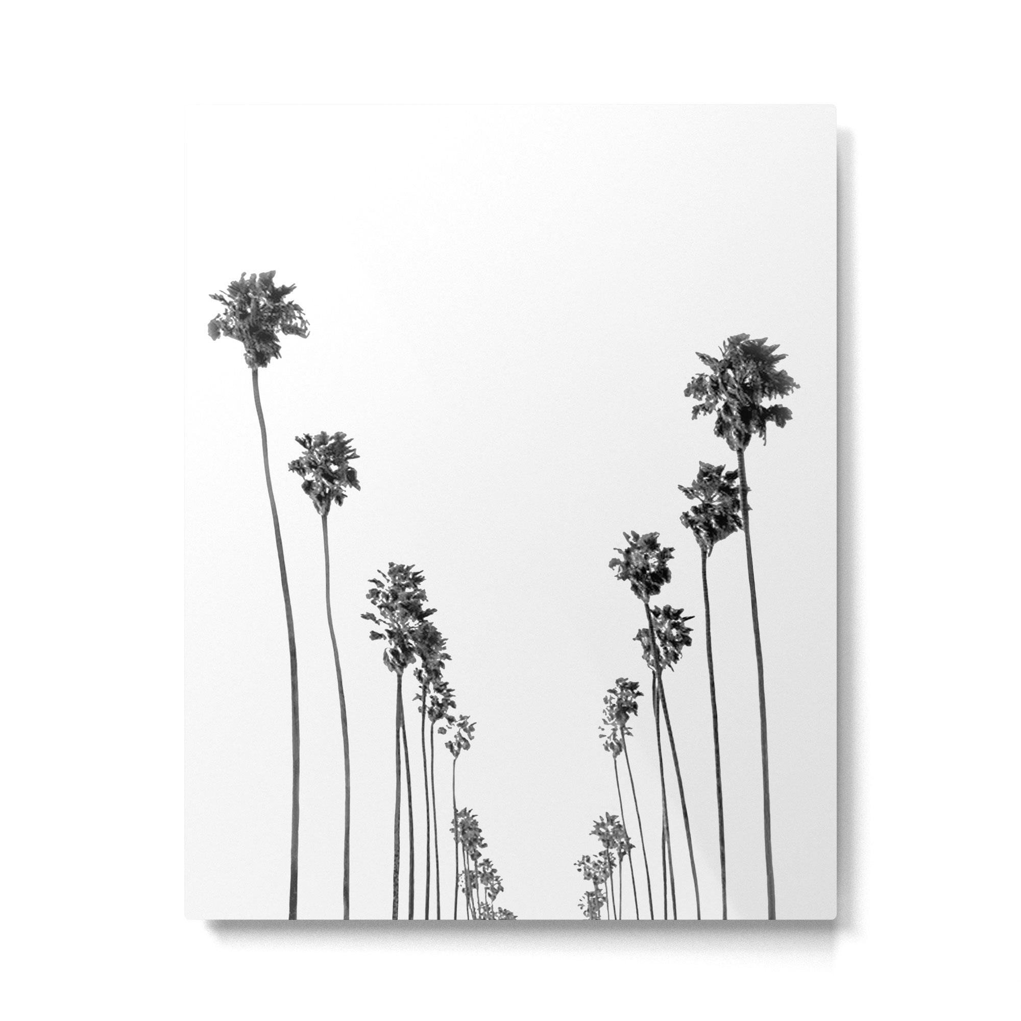 Palm Trees 8 Metal Print Gallery Image 4