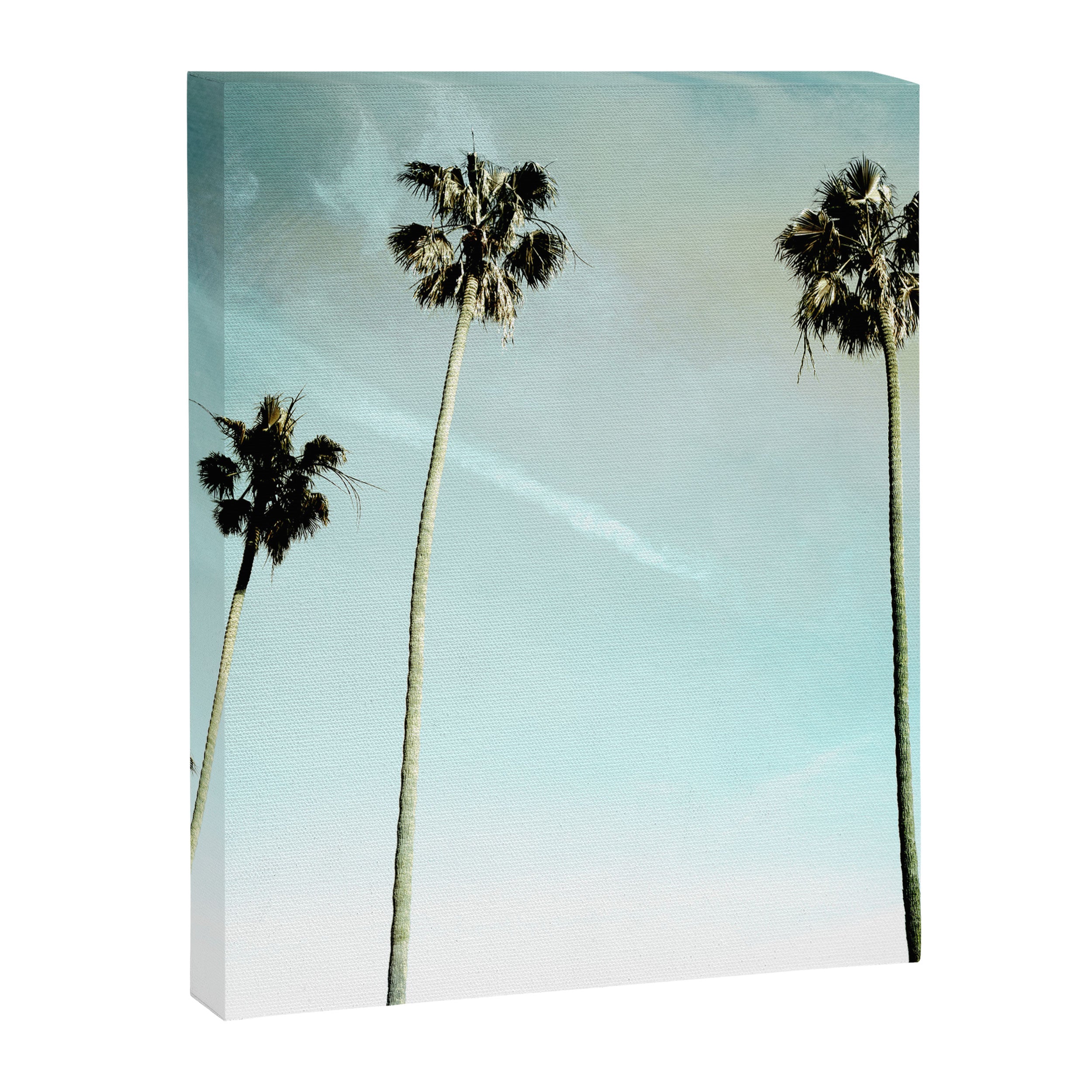 Palm Trees Canvas Print Gallery Image 6