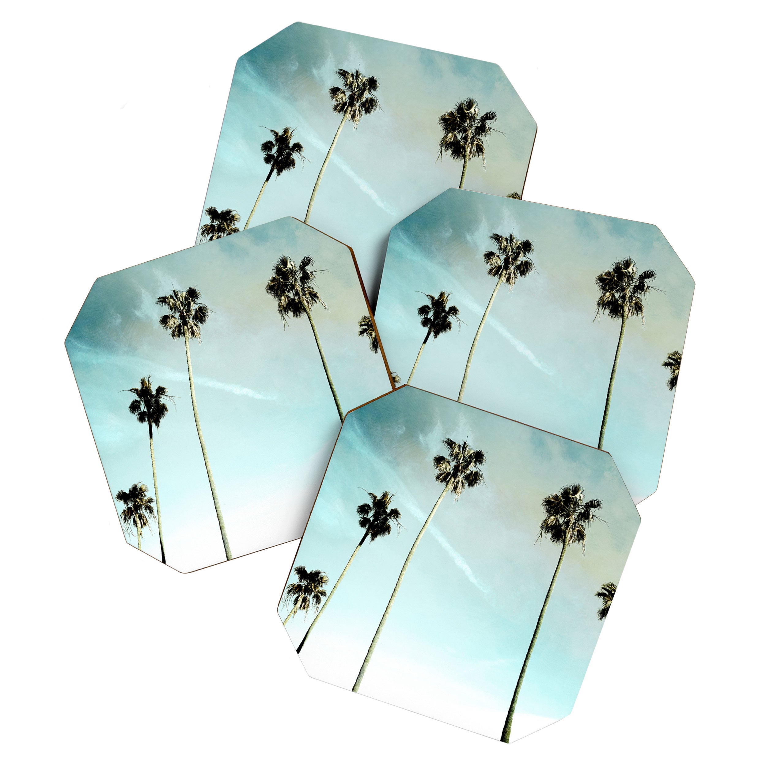 Palm Trees Coaster Gallery Image 1