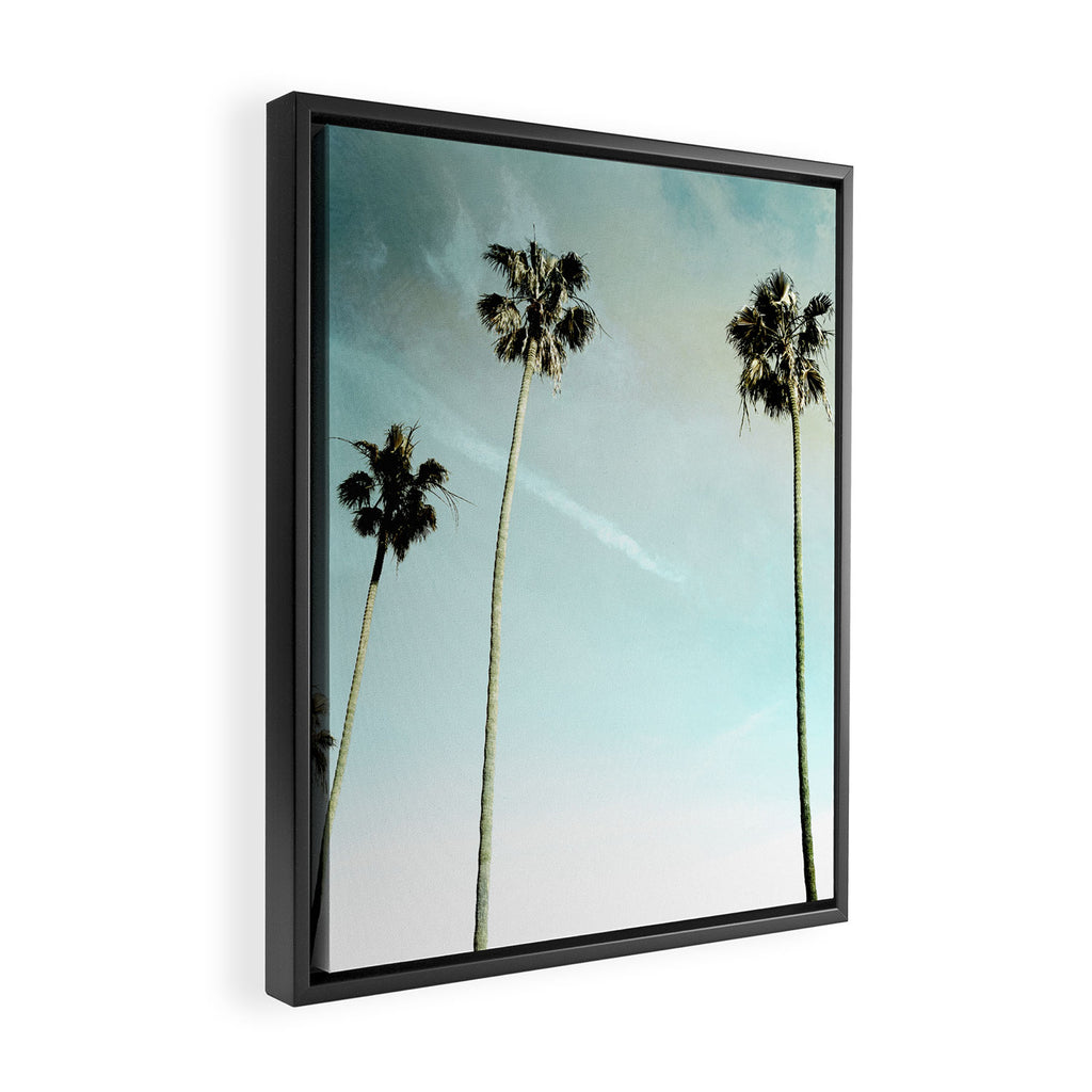 Palm Trees Framed Canvas Print Gallery Image 2