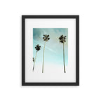 Palm Trees Framed Art Print Gallery Image 5