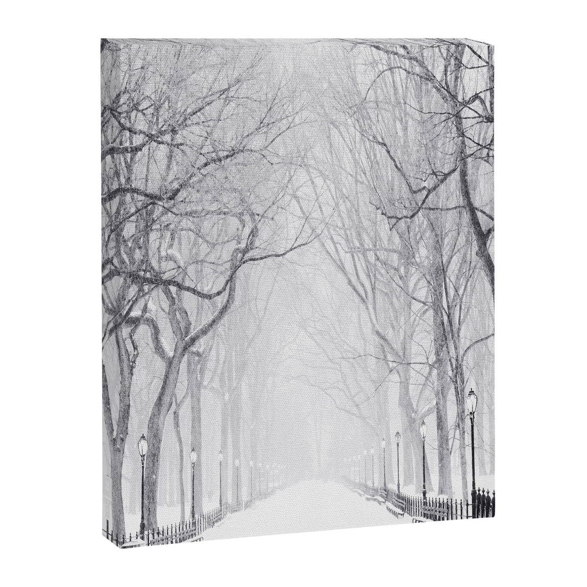 Snowy Park Canvas Print Gallery Image 6