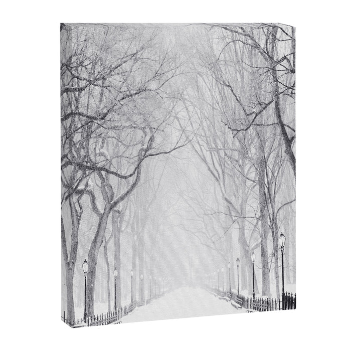Snowy Park Canvas Print Gallery Image 1