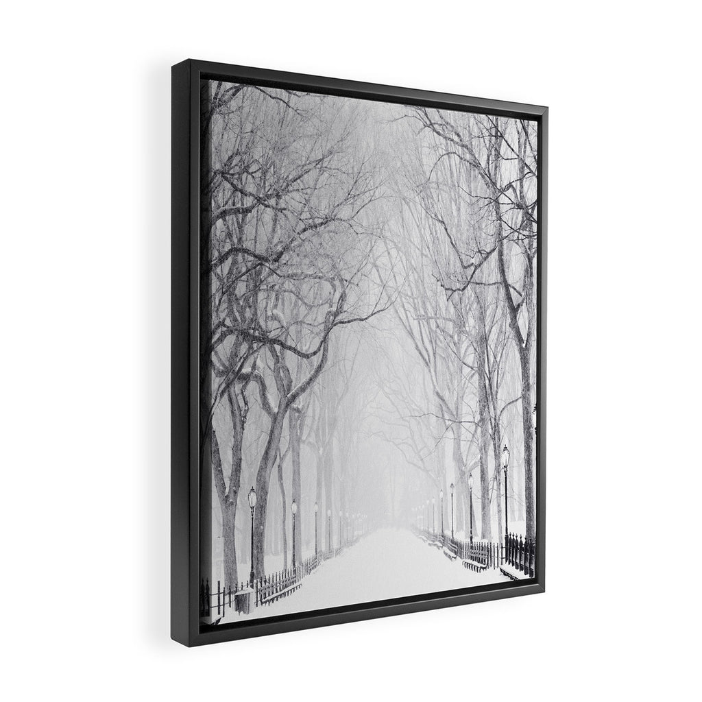 Snowy Park Framed Canvas Print Gallery Image 2