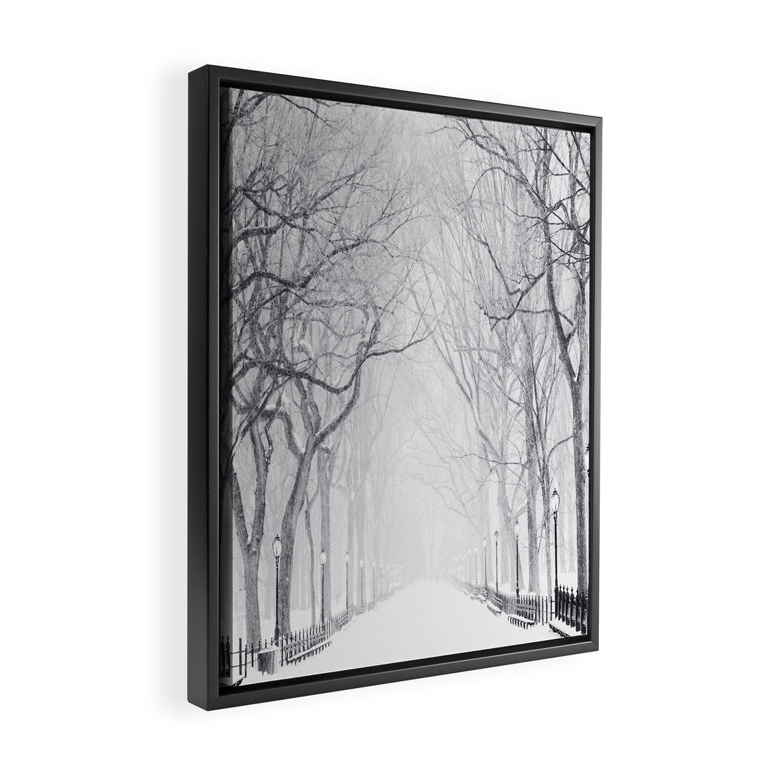Snowy Park Framed Canvas Print Gallery Image 2
