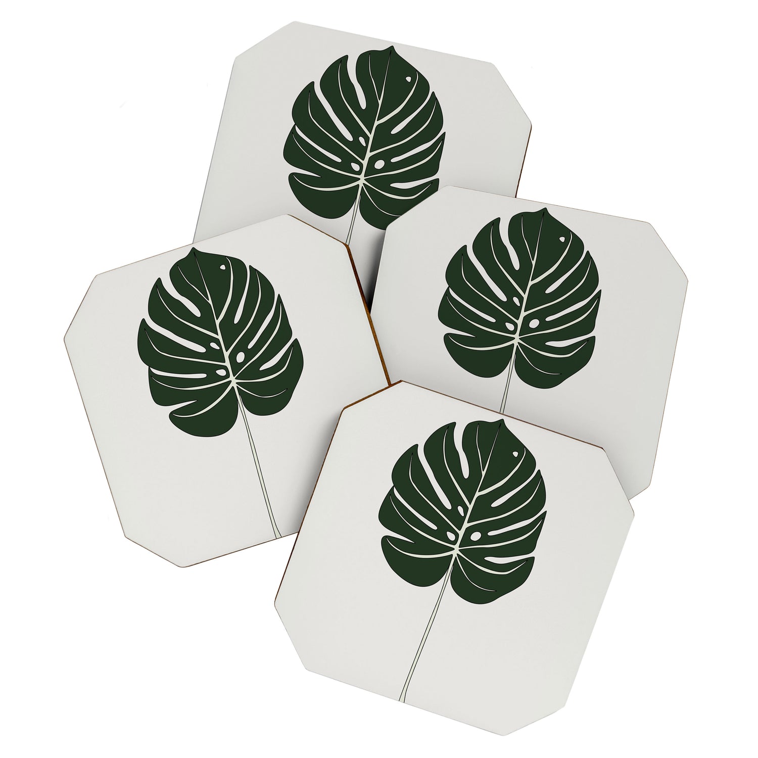 Split Philodendron Leaf Illustration Coaster Gallery Image 1