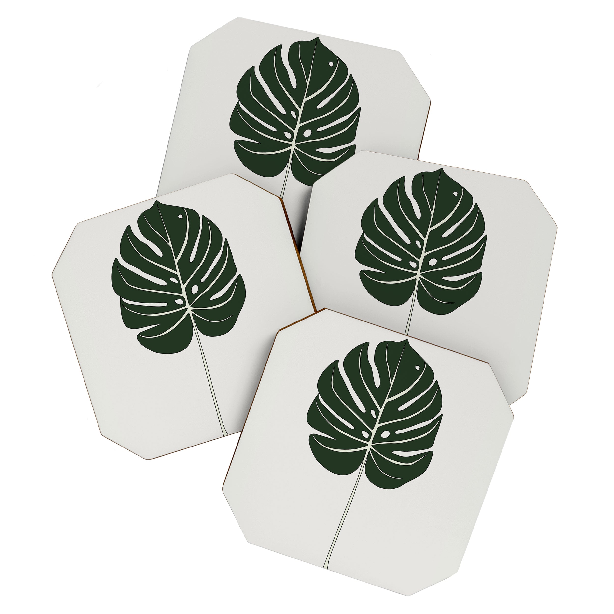 Split Philodendron Leaf Illustration Coaster Gallery Image 1