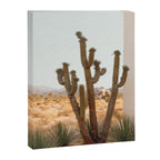Sunset Cactus - Neutral Desert Wall Art Canvas Print Gallery Image 6