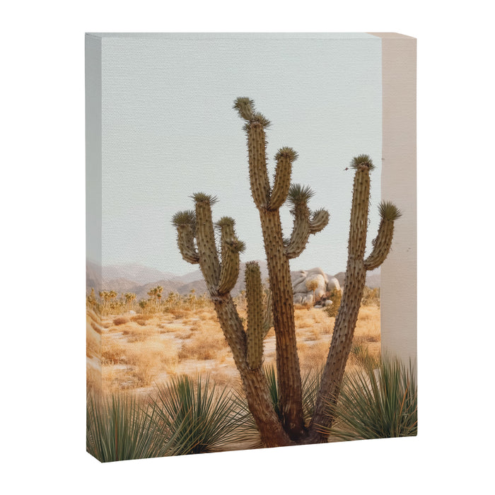 Sunset Cactus - Neutral Desert Wall Art Canvas Print Gallery Image 1