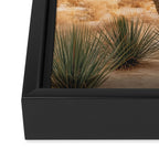 Sunset Cactus - Neutral Desert Wall Art Framed Canvas Print Gallery Image 3