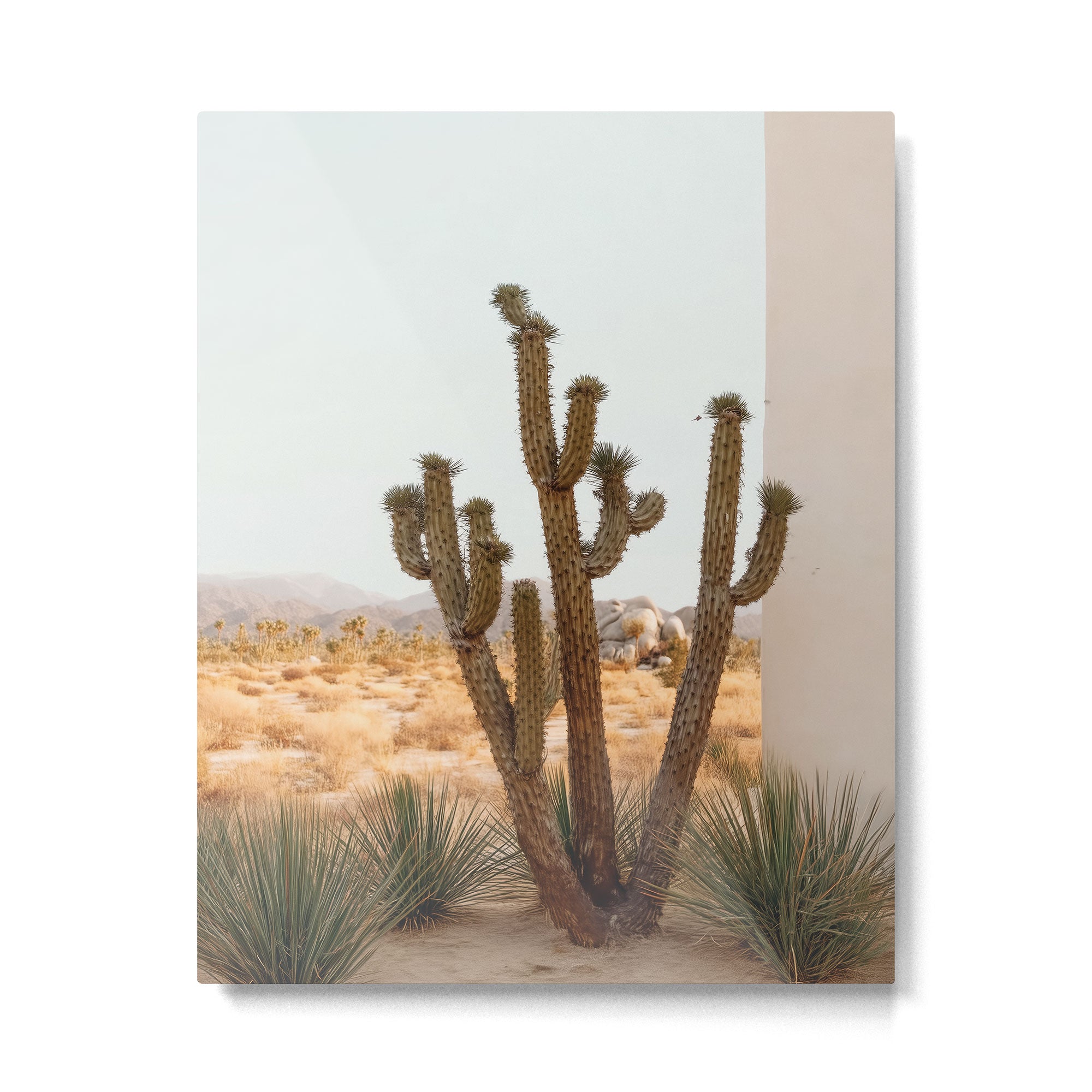 Sunset Cactus - Neutral Desert Wall Art Metal Print Gallery Image 4
