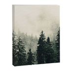 Thick pine forest in the descending mist Canvas Print Gallery Image 6