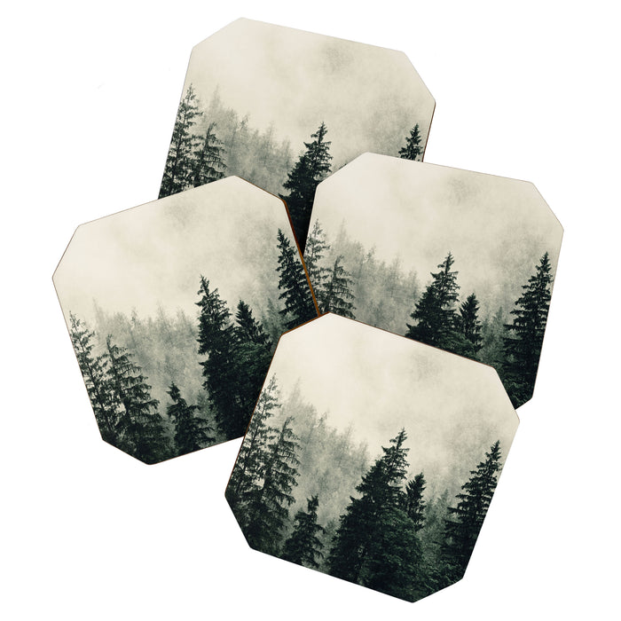 Thick pine forest in the descending mist Coaster Gallery Image 1