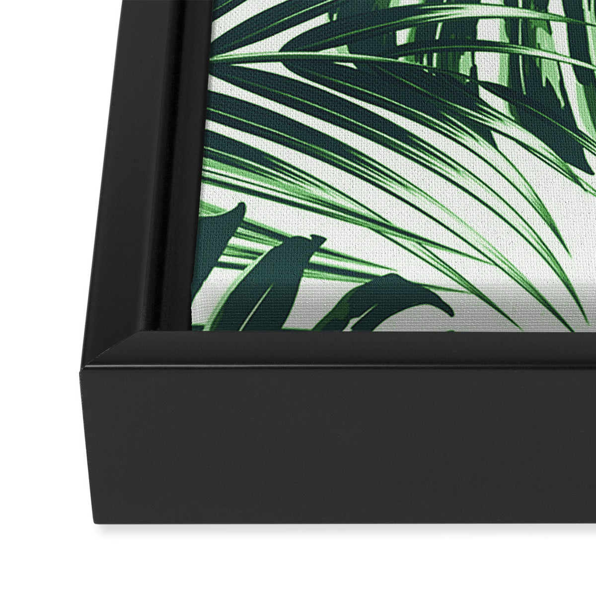 Tropical Leaves 4 Framed Canvas Print Gallery Image 3