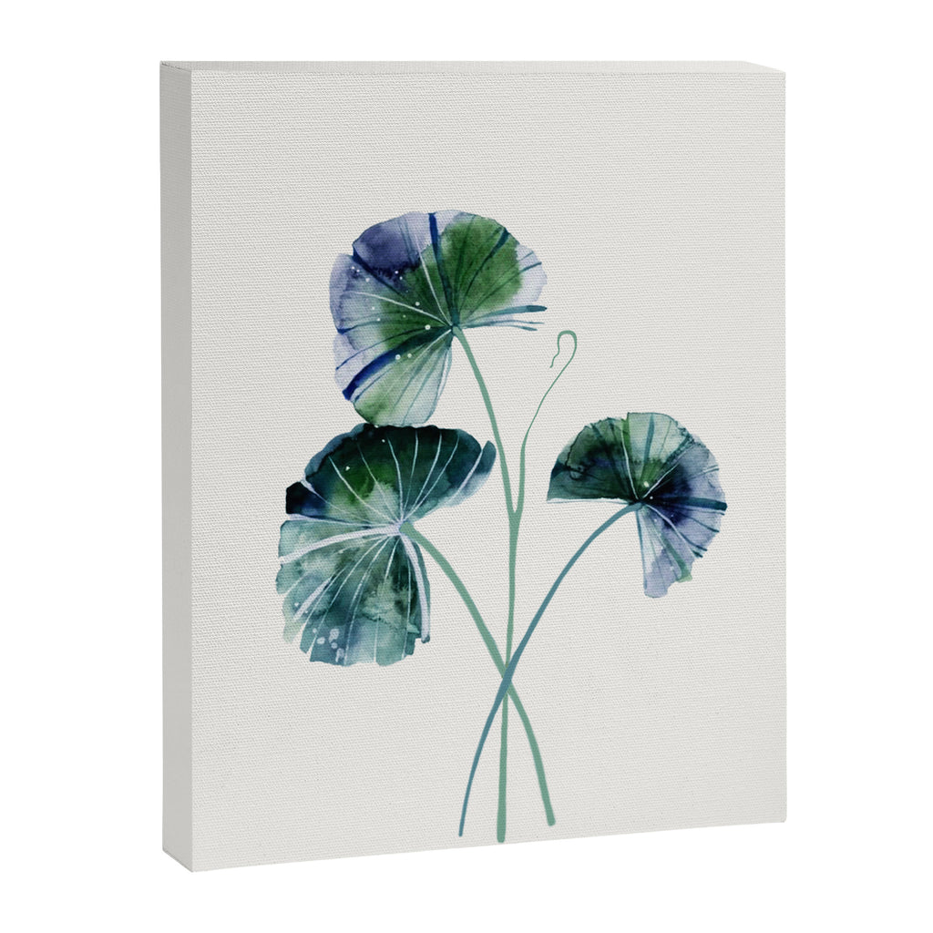 Water lily leaves Canvas Print Gallery Image 6