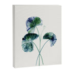 Water lily leaves Canvas Print Gallery Image 6