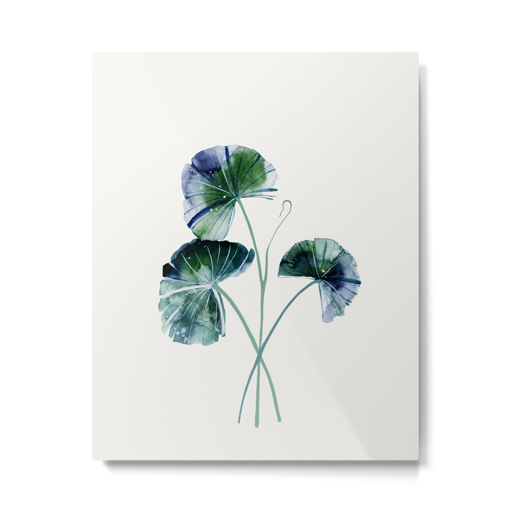 Water lily leaves Metal Print Gallery Image 4