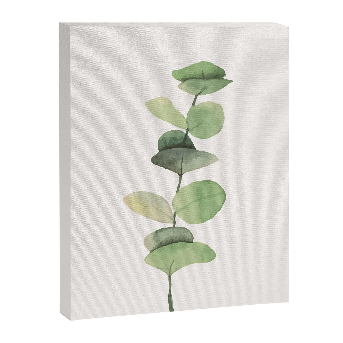 Watercolor Eucalyptus Branch Canvas Print Gallery Image 6