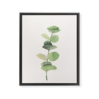 Watercolor Eucalyptus Branch Framed Canvas Print Gallery Image 6