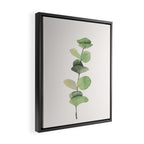 Watercolor Eucalyptus Branch Framed Canvas Print Gallery Image 2