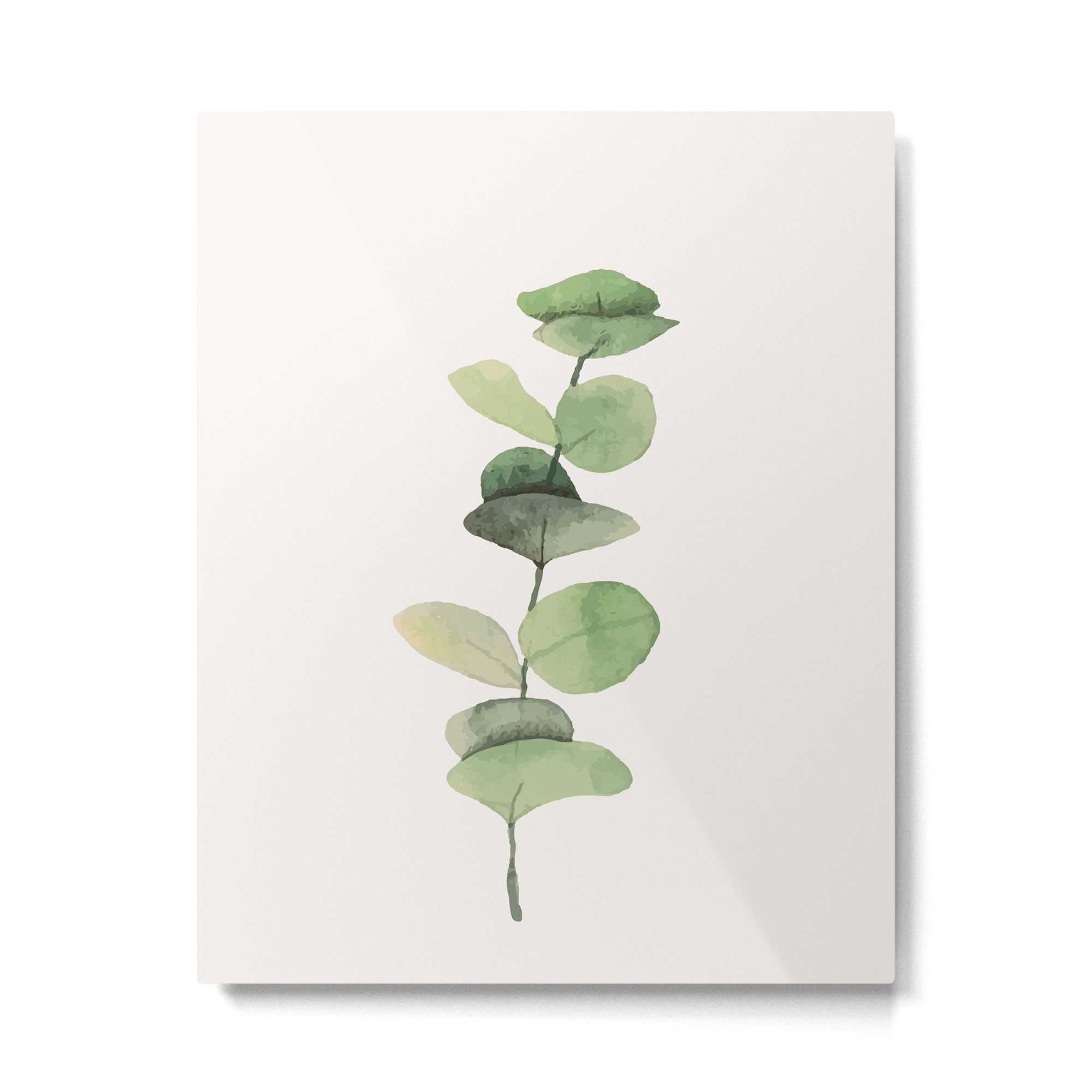 Watercolor Eucalyptus Branch Metal Print Gallery Image 4