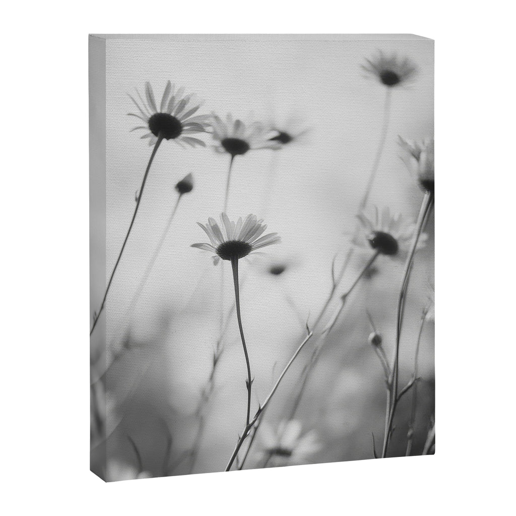 Whispers in Bloom I Canvas Print Gallery Image 6