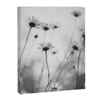 Whispers in Bloom I Canvas Print Gallery Image 6