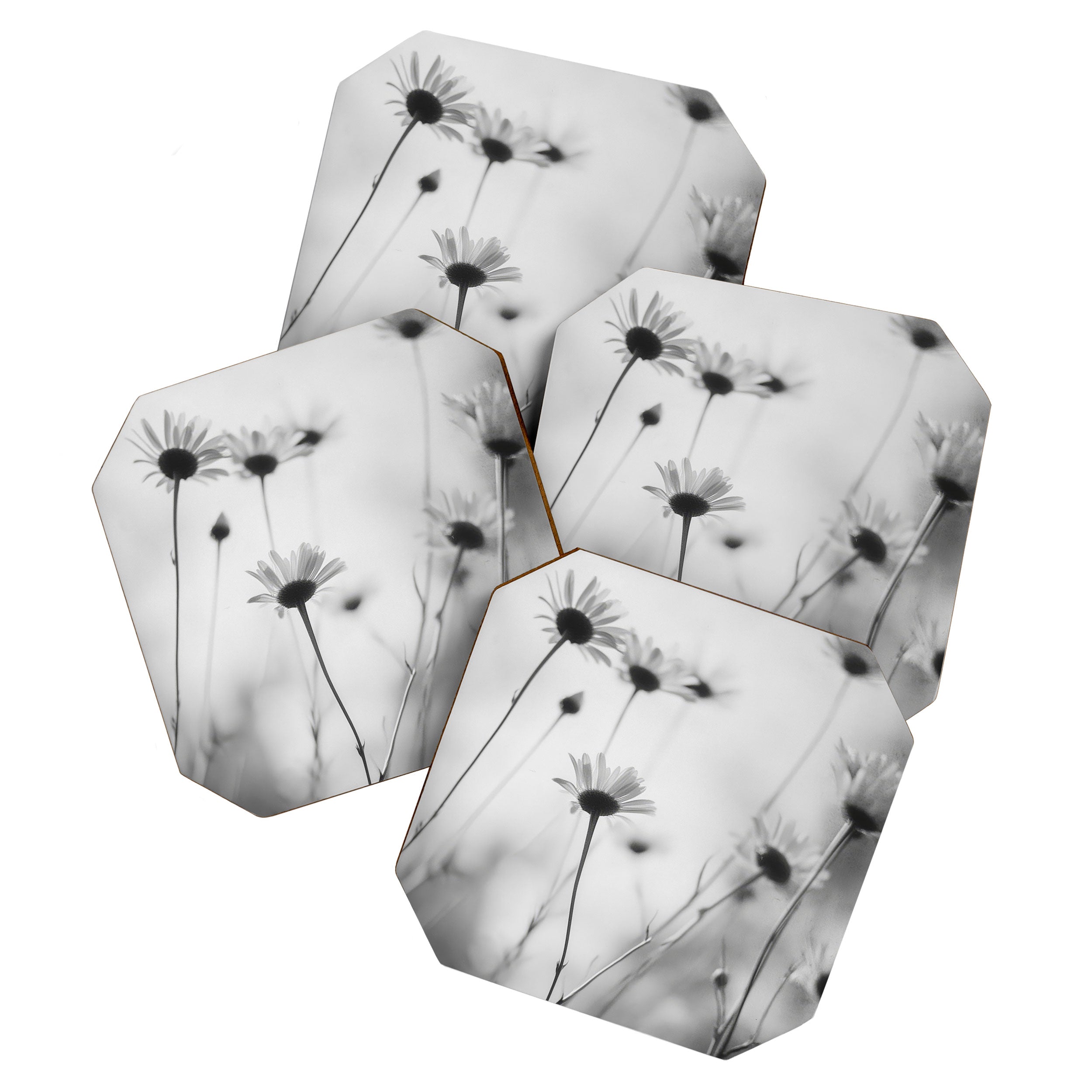 Whispers in Bloom I Coaster Gallery Image 1