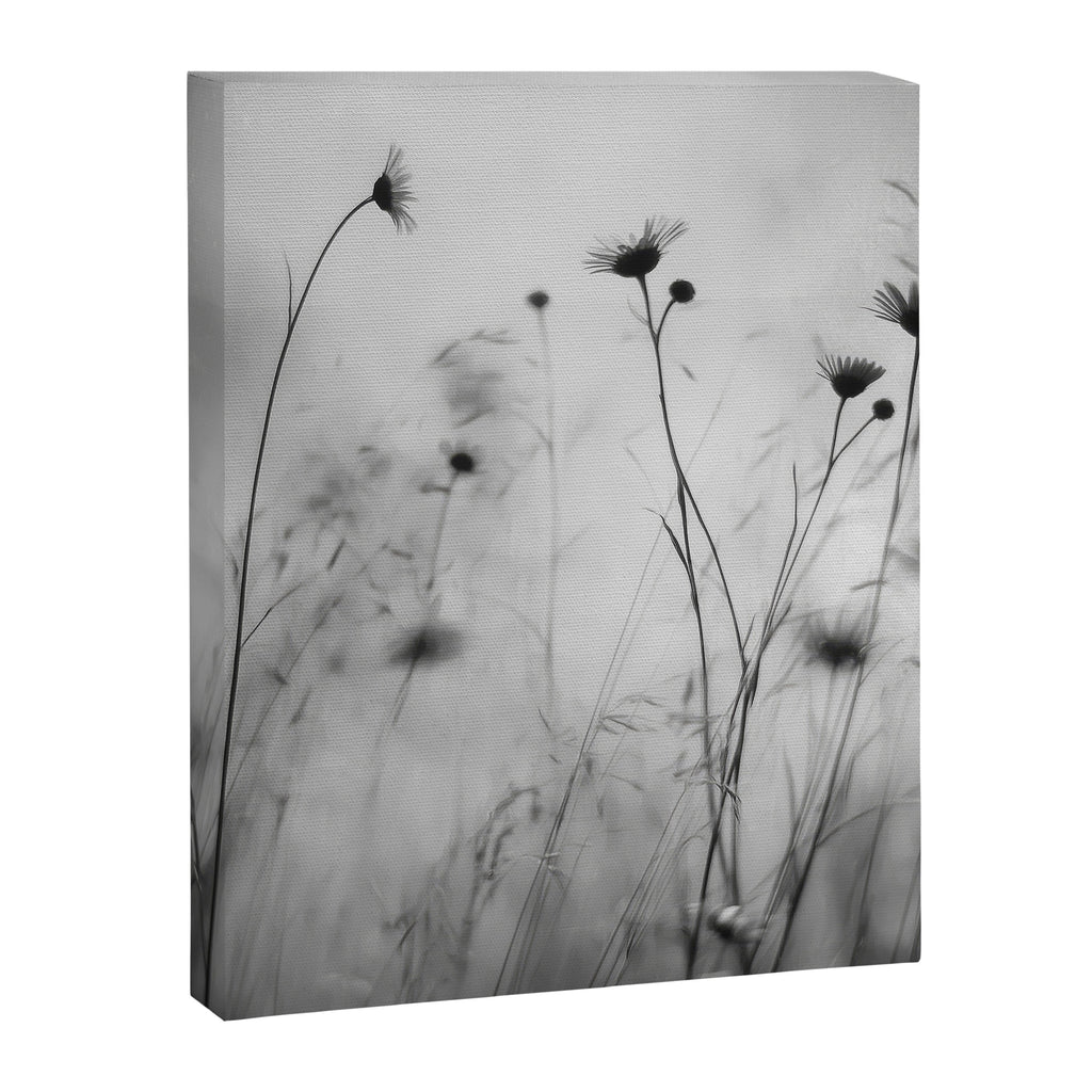 Whispers in Bloom II Canvas Print Gallery Image 6