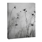 Whispers in Bloom II Canvas Print Gallery Image 6