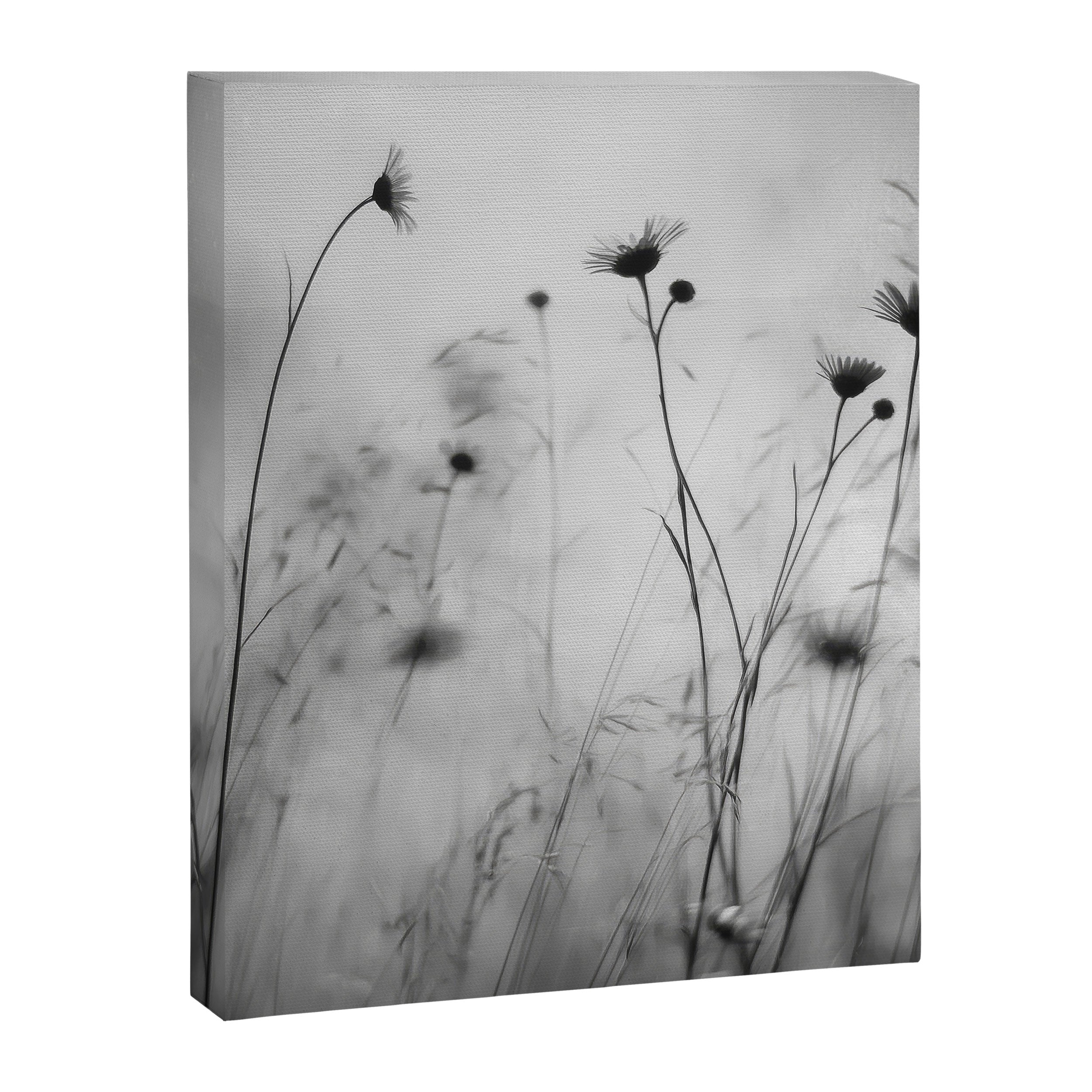 Whispers in Bloom II Canvas Print Gallery Image 6