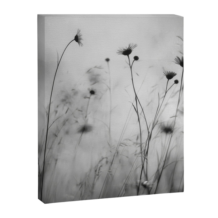 Whispers in Bloom II Canvas Print Gallery Image 1