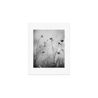 Whispers in Bloom II Art Print Gallery Image 1