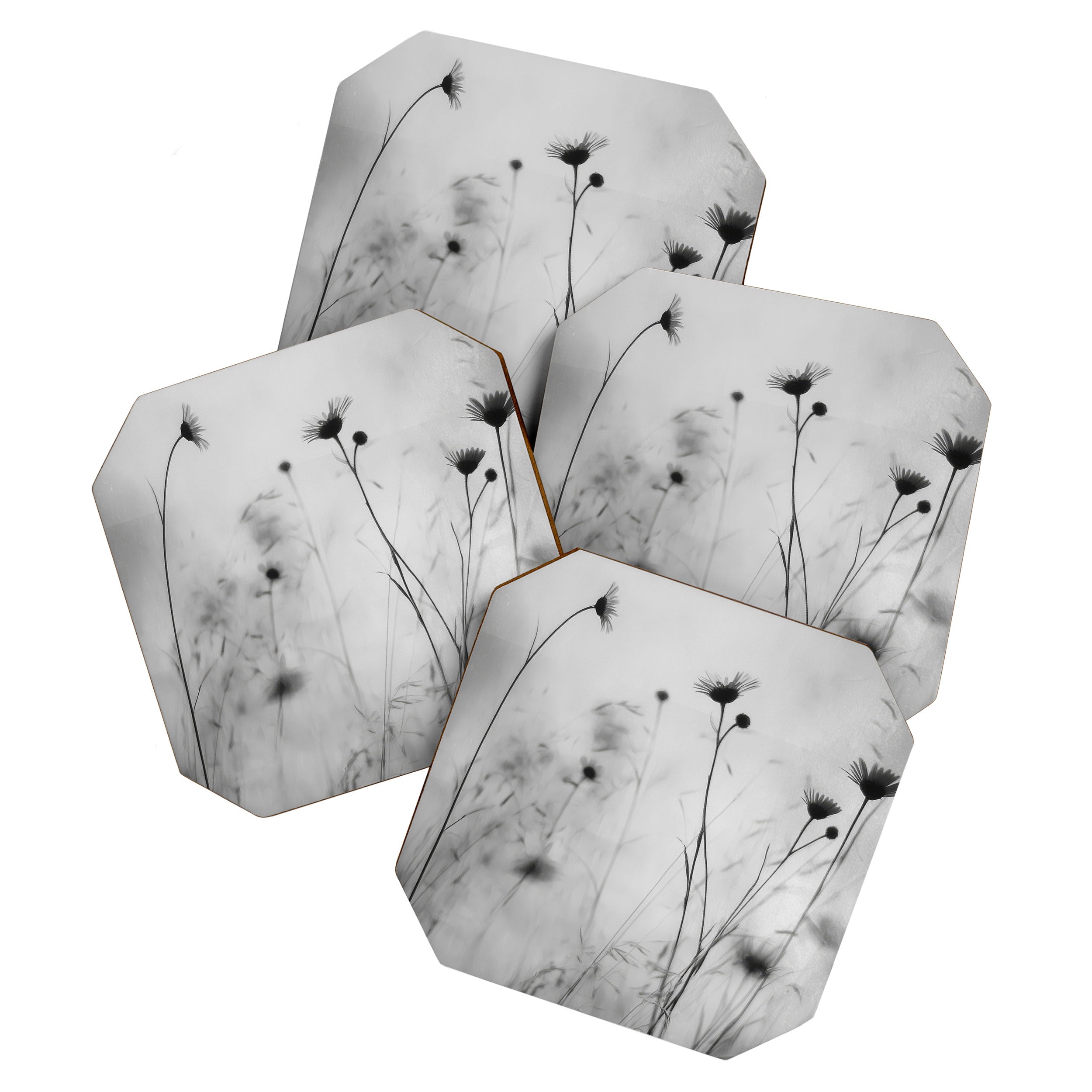 Whispers in Bloom II Coaster Gallery Image 1