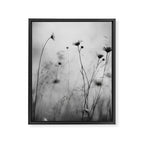 Whispers in Bloom II Framed Canvas Print Gallery Image 6