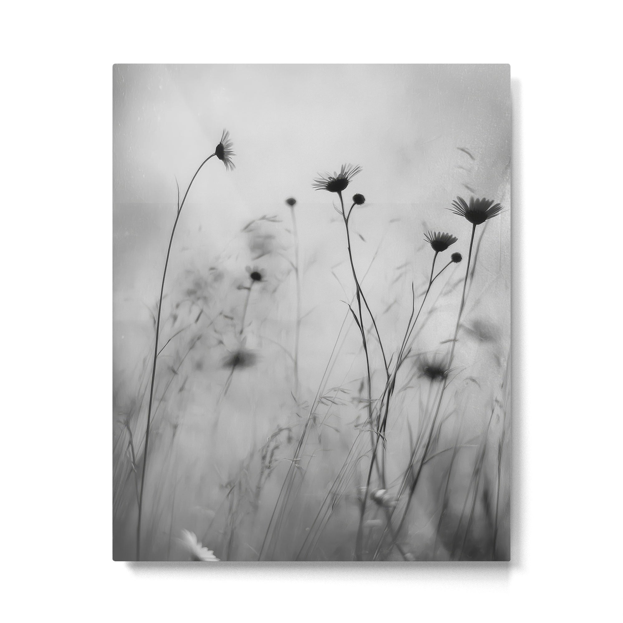 Whispers in Bloom II Metal Print Gallery Image 4