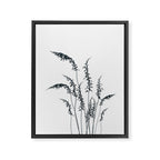 Wild grasses Framed Canvas Print Gallery Image 6