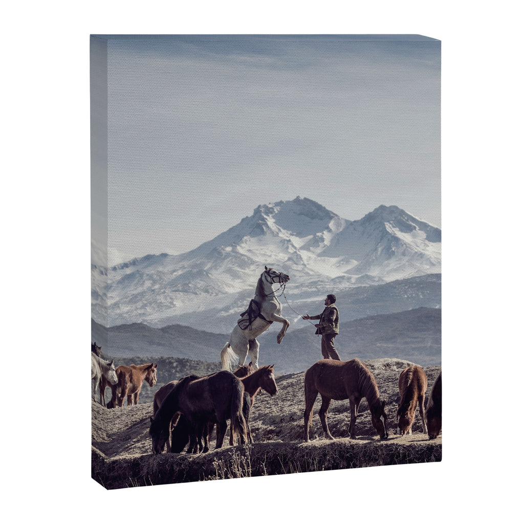 Wild Horses Canvas Print Gallery Image 6