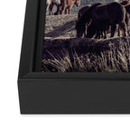 Wild Horses Framed Canvas Print Gallery Image 3