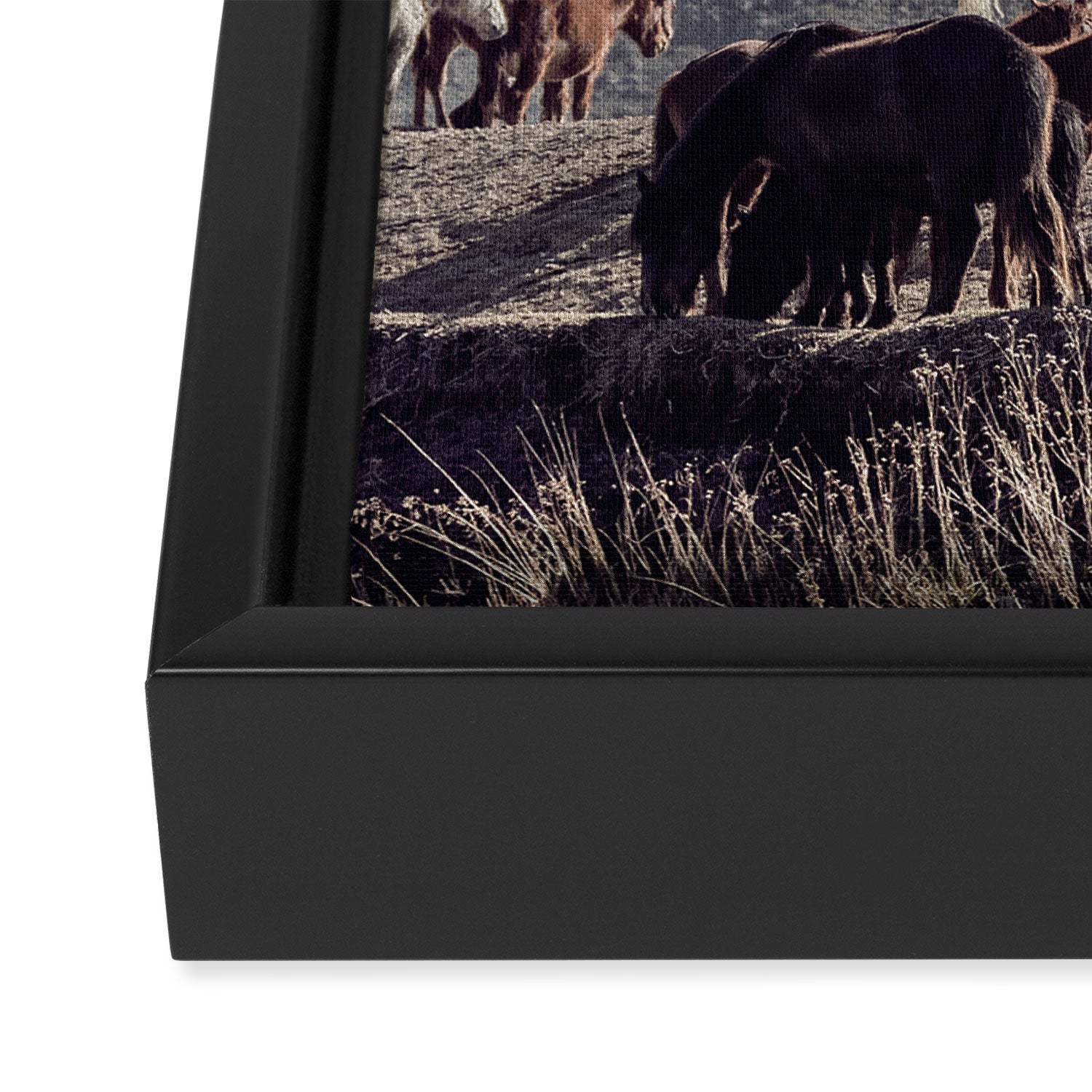 Wild Horses Framed Canvas Print Gallery Image 3