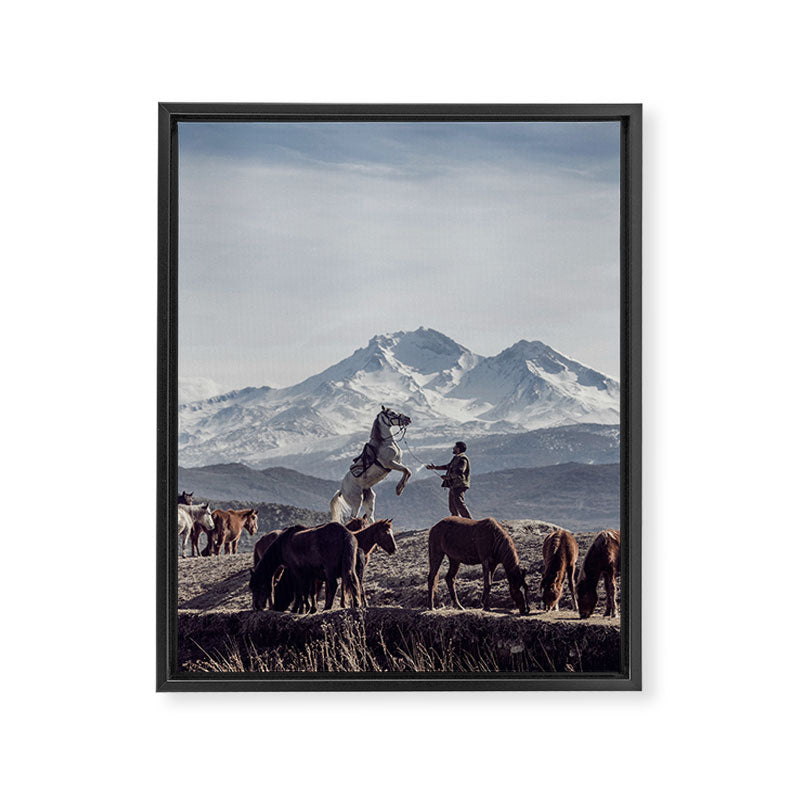 Wild Horses Framed Canvas Print Gallery Image 6